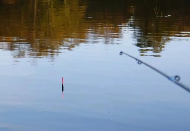 Fishing with a float rod