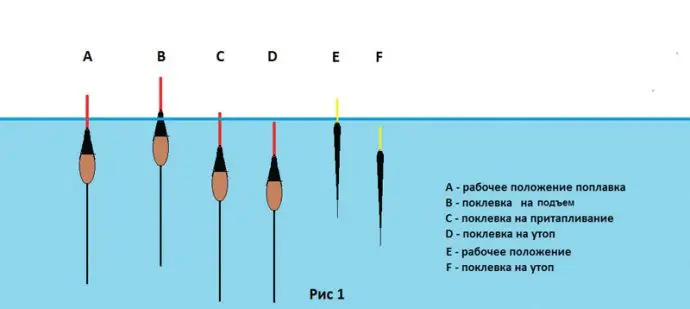 Float for bream, choosing the best float