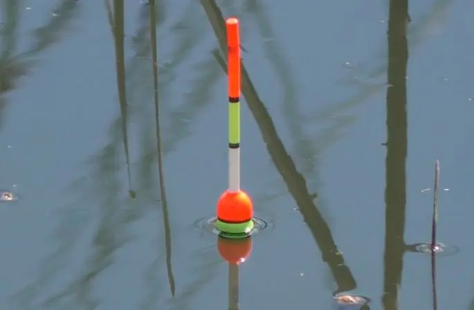 Float rod with a feeder: for crucian and carp