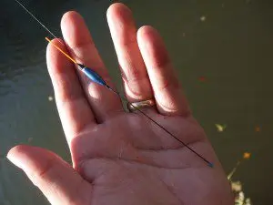 Floats for fishing - types, classification according to fishing conditions