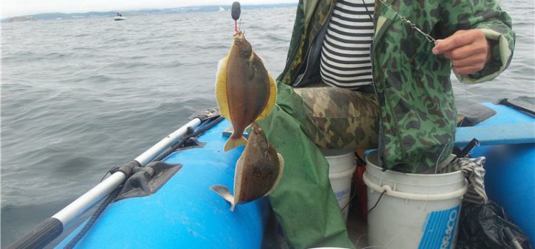 I-Flounder: indawo yokuhlala, ukudoba i-flounder kusuka esikebheni nasogwini