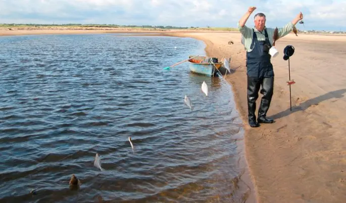 Flounder: habitat, flounder fishing from boat and shore