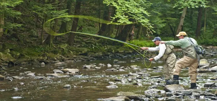 Fly Fishing for Beginners: Fishing Technique and Tackle