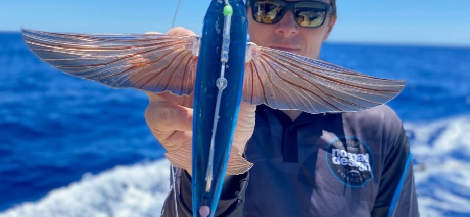 Flying fish: lures, places and ways to fish