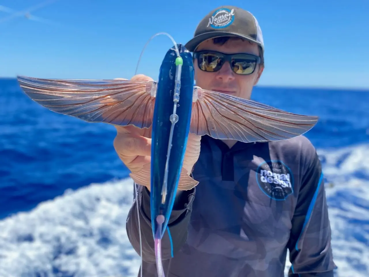 Flying fish: lures, places and ways to fish