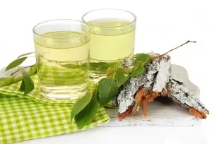 For ulcers, flu and heart disease. Birch sap as a remedy for many ailments