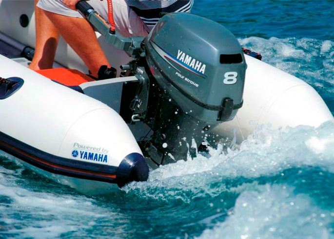 Fuel consumption of outboard motors: breakdown table, how to choose