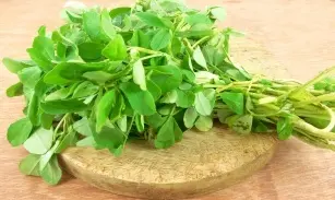 Good for digestion and hair loss. Discover the use of fenugreek!