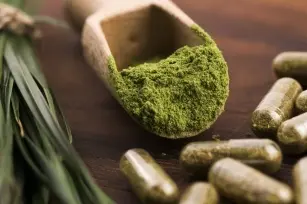Green barley under a magnifying glass. Does it really help you lose weight?