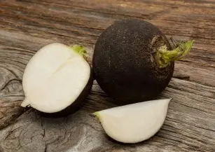 Healthy as a turnip, or the health benefits of black turnip