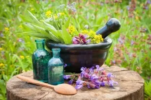 Herbal diet, a precious gift from Mother Nature