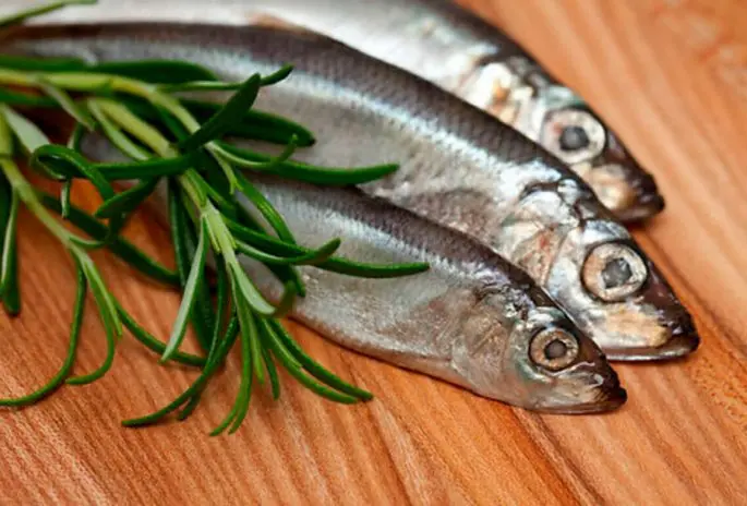 Herring recipes: cooking sprats, marinated herring