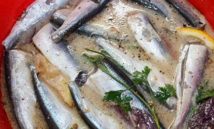 Herring recipes: cooking sprats, marinated herring