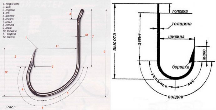 Hook for catfish, hook sizes and characteristics