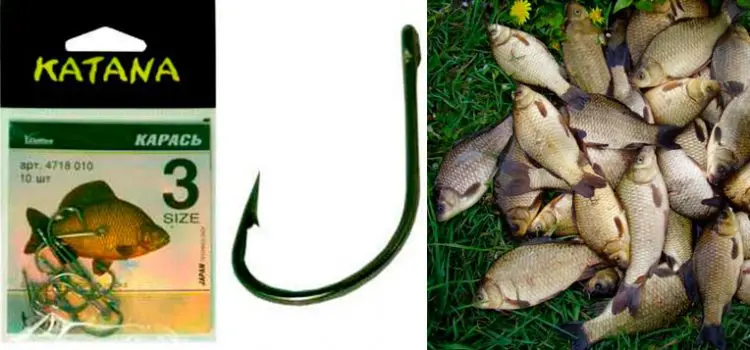 Hook for crucian carp: size and hook number, best models, colors