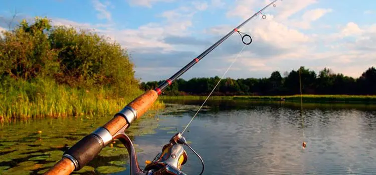 How to cast a spinning rod with a spinning reel