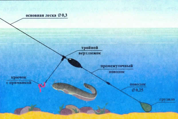 How to catch catfish on a creeping worm, an overview of gear and fishing techniques