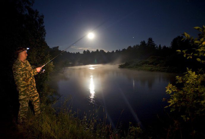 How to catch catfish on a creeping worm, an overview of gear and fishing techniques