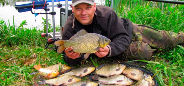 How to catch crucian on a bait, where and when to catch