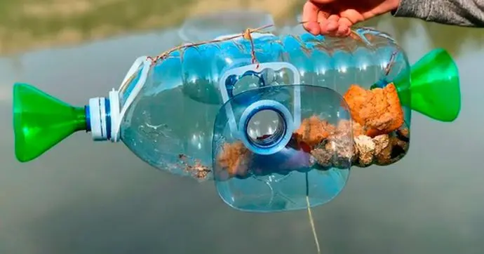 How to catch live bait without a fishing rod: in summer, in winter, how to save live bait