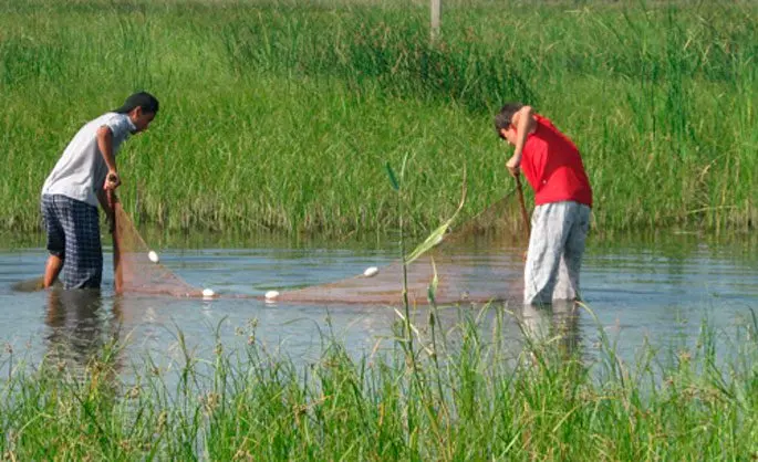 How to catch live bait without a fishing rod: in summer, in winter, how to save live bait