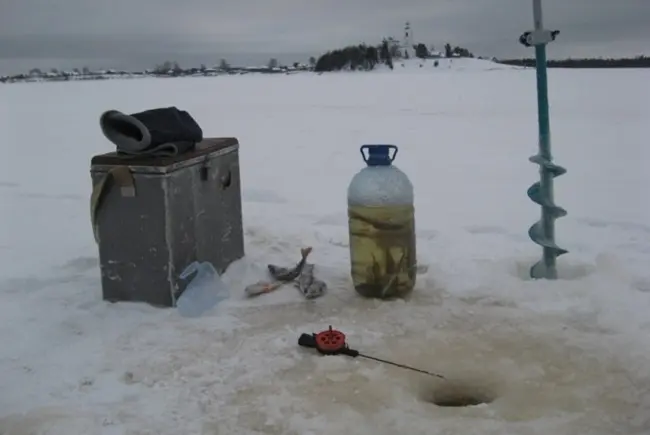 How to catch live bait without a fishing rod: in summer, in winter, how to save live bait