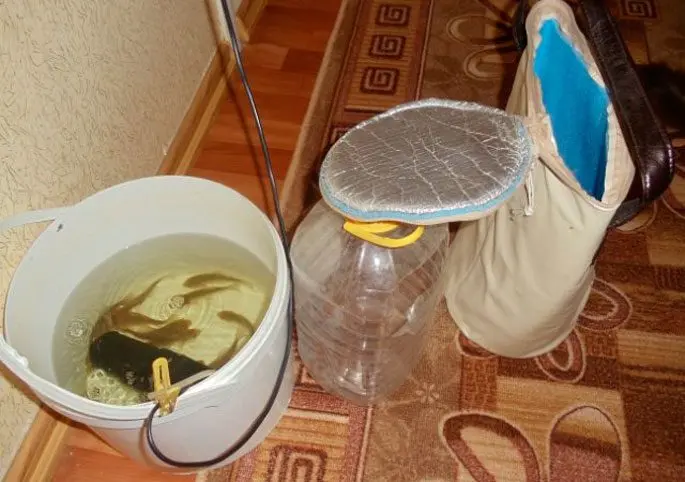 How to catch live bait without a fishing rod: in summer, in winter, how to save live bait