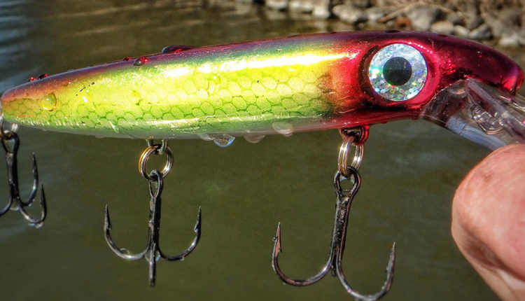How to catch pike in autumn on the river