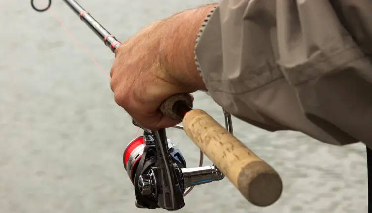 How to catch pike on a spinning rod: tackle, choice of lures, fishing technique