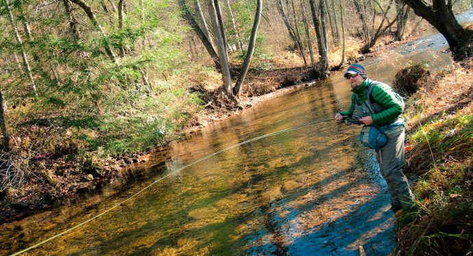 How to catch trout: tackle, bait, bait. Fishing in summer, spring and autumn