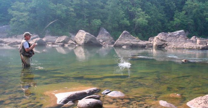 How to catch trout: tackle, bait, bait. Fishing in summer, spring and autumn