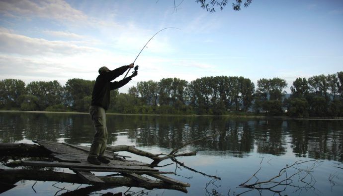 How to catch trout: tackle, bait, bait. Fishing in summer, spring and autumn