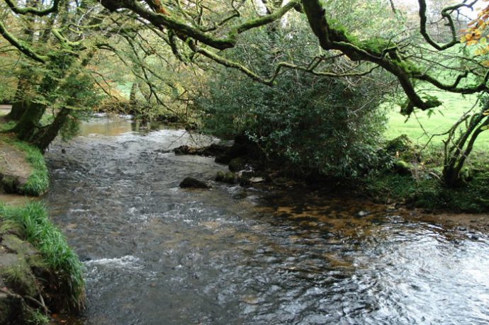 How to catch trout: tackle, bait, bait. Fishing in summer, spring and autumn