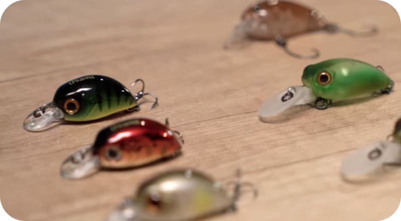 How to choose a wobbler for chub fishing - the best models