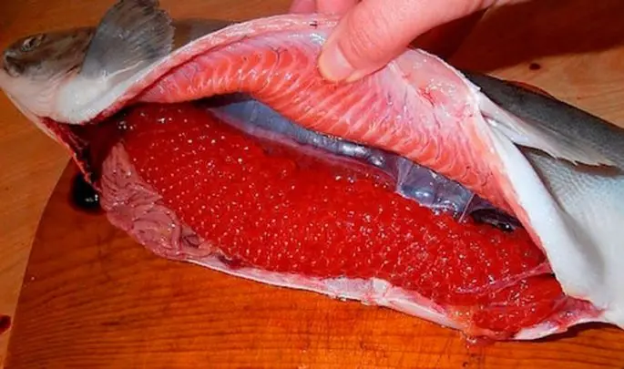 How to clean caviar from the film: pike, pink salmon, carp at home