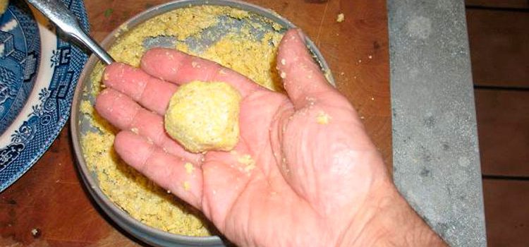 How to cook dough for crucian carp with your own hands, the best recipes at home