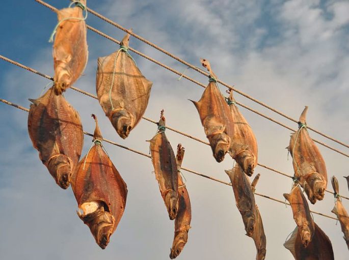 How to dry and dry fish at home