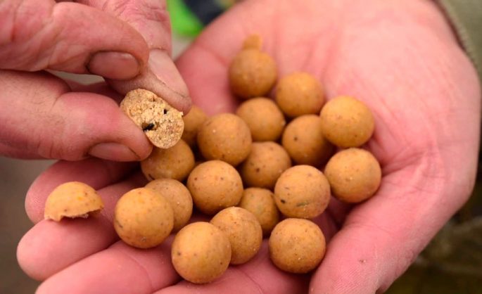 How to fish with boilies: fishing technique, expert advice