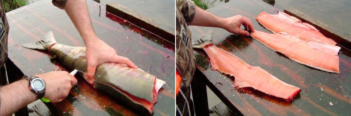 How to properly cut salmon: the process of cutting, tricks, useful properties