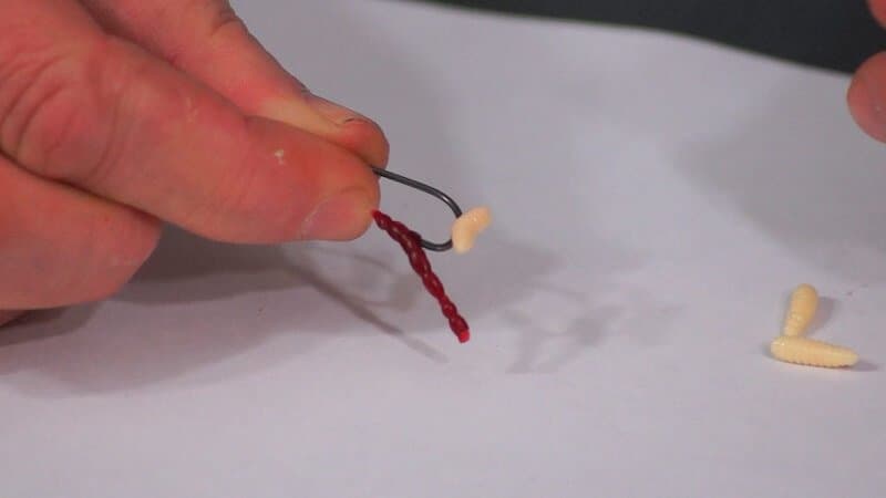 How to put a maggot on a hook