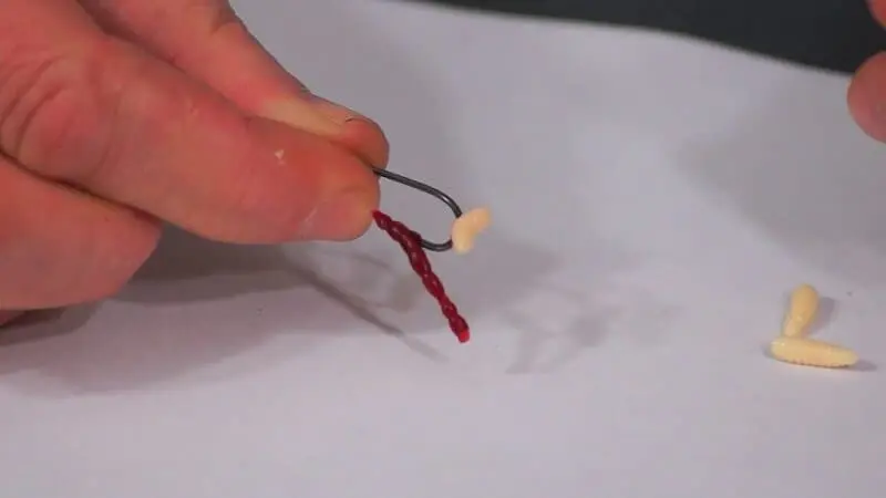 How to put a maggot on a hook