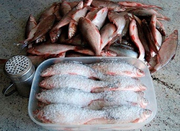 How to salt fish for drying at home: delicious recipes