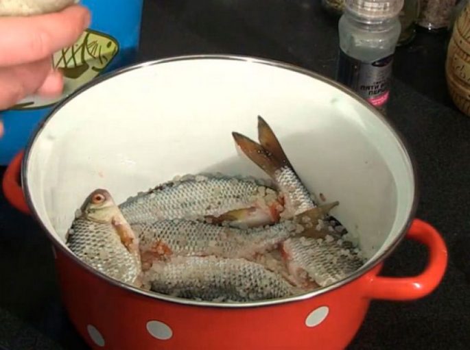 How to salt fish for drying at home: delicious recipes