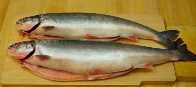 How to salt trout at home with salt and sugar, the best recipes