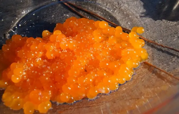How to salt trout caviar at home, delicious recipes