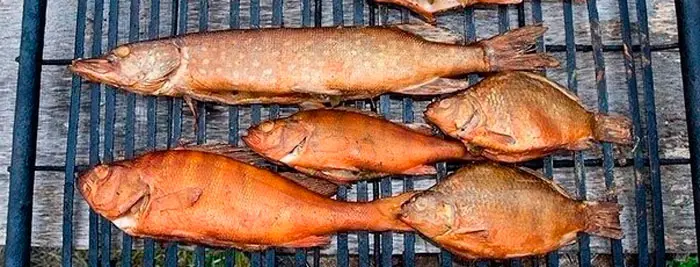 How to smoke fish at home, the process of cold and hot smoking