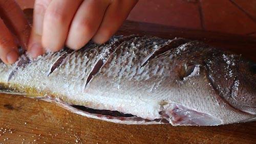 How to smoke fish at home, the process of cold and hot smoking