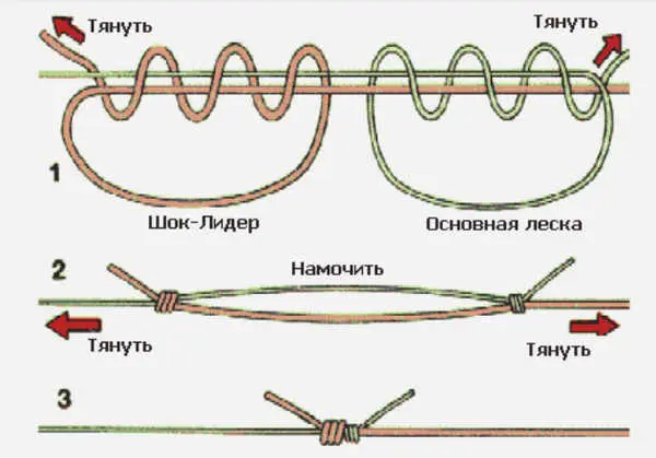 How to tie knots on a fishing line, types of fishing knots and types of fishing lines