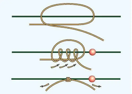 How to tie knots on a fishing line, types of fishing knots and types of fishing lines