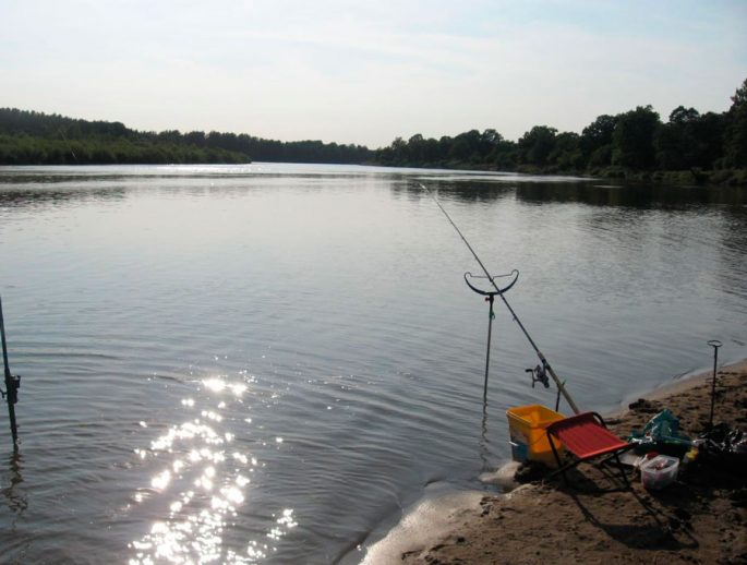 Ide fishing: spinning, feeder, float fishing rod